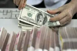 سهم هر ایرانی پس از حذف ارز ترجیحی چقدر خواهد بود؟ 