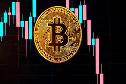 خروج بیت‌کوین از فهرست ۱۰ دارایی بزرگ 