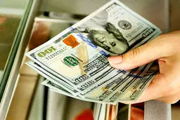ارز دولتی/  حقایقی از سود ۱۳ میلیون تومانی در یک روز 