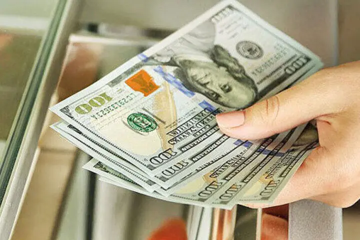 ارز دولتی/  حقایقی از سود ۱۳ میلیون تومانی در یک روز 