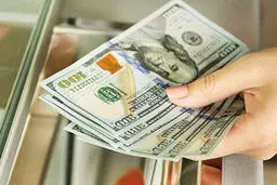 ارز دولتی/  حقایقی از سود ۱۳ میلیون تومانی در یک روز 