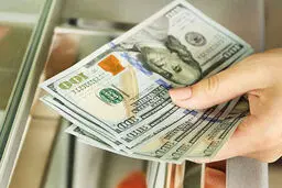 ارز دولتی/  حقایقی از سود ۱۳ میلیون تومانی در یک روز 