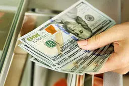 ارز دولتی/  حقایقی از سود ۱۳ میلیون تومانی در یک روز 