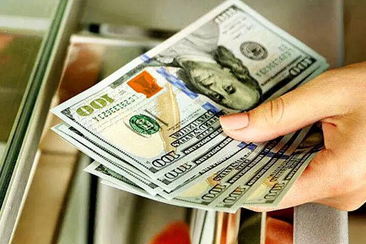 ارز دولتی/  حقایقی از سود ۱۳ میلیون تومانی در یک روز 