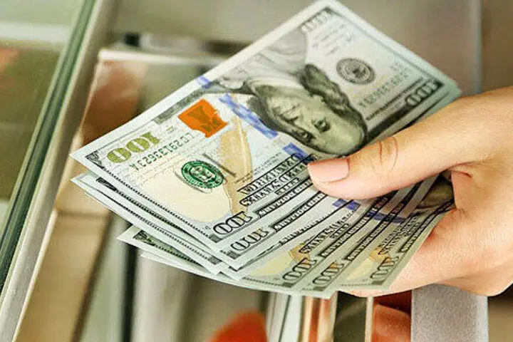 ارز دولتی/  حقایقی از سود ۱۳ میلیون تومانی در یک روز 
