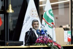 ۵ برنامه ی مهم سازمان بورس برای سال جدید/ امسال سال بازار سرمایه است
