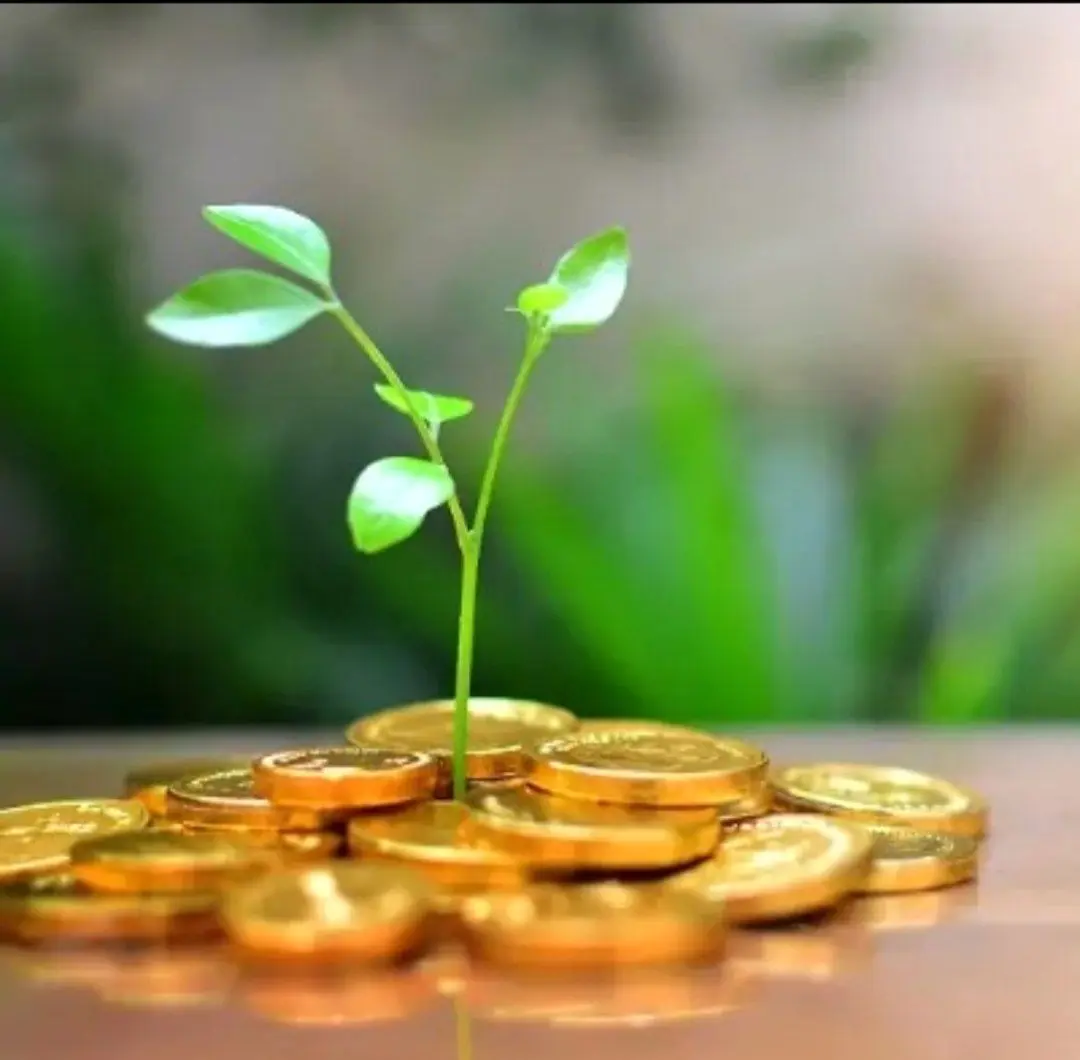 سرمایه‌گذاری در طرح‌های با سود ۴۵٪ و بالاتر تحت مجوز فرابورس