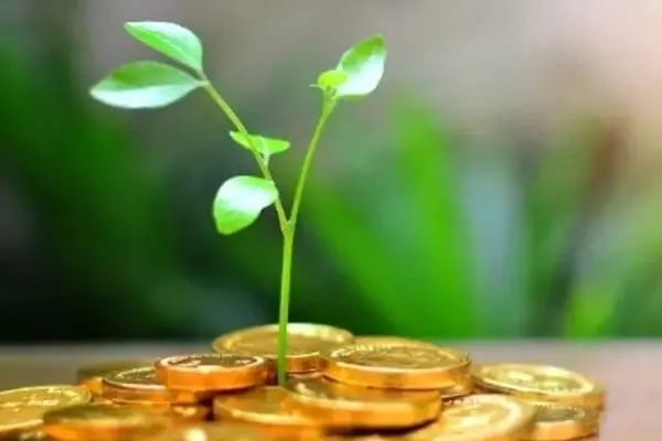 سرمایه‌گذاری در طرح‌های با سود ۴۵٪ و بالاتر تحت مجوز فرابورس