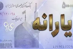پرداخت یارانه دی ماه نقدی خواهد بود 
