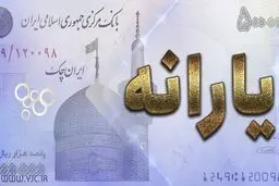 پرداخت یارانه دی ماه نقدی خواهد بود 