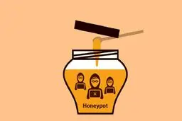 کلاهبرداری هانی پات (Honeypot Scam) چیست؟