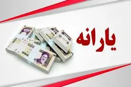 یارانه بهمن  ۵۰۰ هزار تومانی است ؟