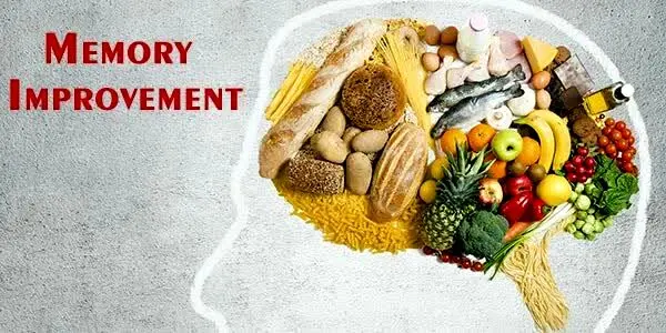 ۱۱ خوراکی برای تقویت حافظه و تمرکز