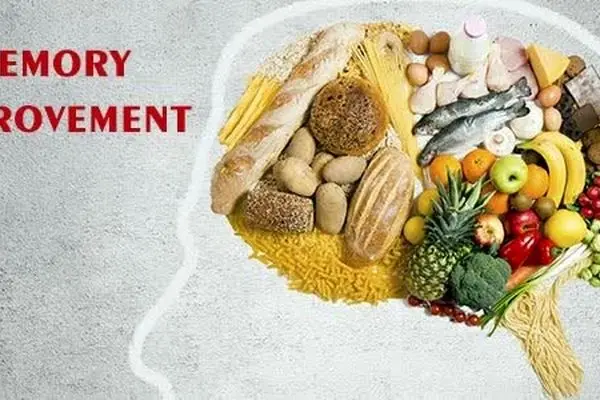 ۱۱ خوراکی برای تقویت حافظه و تمرکز