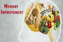 ۱۱ خوراکی برای تقویت حافظه و تمرکز