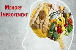 ۱۱ خوراکی برای تقویت حافظه و تمرکز