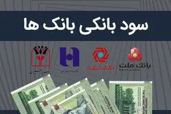 کف سود سپرده در بانک های دولتی ۲۵ درصد شد
