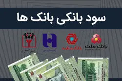 کف سود سپرده در بانک های دولتی ۲۵ درصد شد