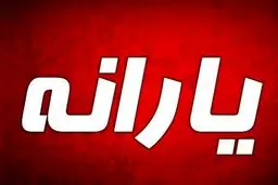 توضیحات وزیر کار درباره قطع یارانه برخی خانوارها /افرادی که یارانه‌شان قطع شده اعتراض کنند؛ اگر اطلاعات غلط داده شود...