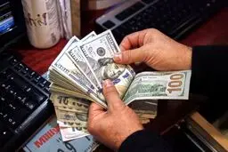 قیمت انواع ارز بانک مرکزی امروز ۶ اسفند / دلار و یورو گران شد