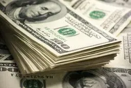 ارز خوبی به بازار بازگشته/عرضه سنگین ارز هفته آینده