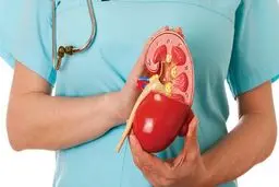 از نمک تا مسکن‌ها/ قاتلان خاموش سلامت کلیه 