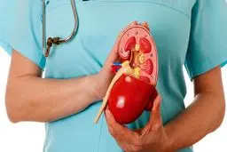 از نمک تا مسکن‌ها/ قاتلان خاموش سلامت کلیه 