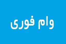 شرایط دریافت وام فوری ۳۰۰ میلیون تومانی / بازپرداخت 4 ساله