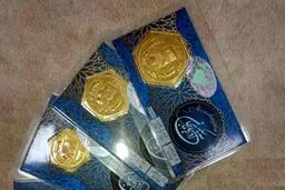 قیمت سکه پارسیان امروز شنبه ۱۷ مرداد ۱۴۰۵+انواع سوت/جدول
