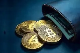 قیمت بیت‌کوین پایدار نیست و باید بفروشید!/توصیه شیف به دارندگان بیت‌کوین