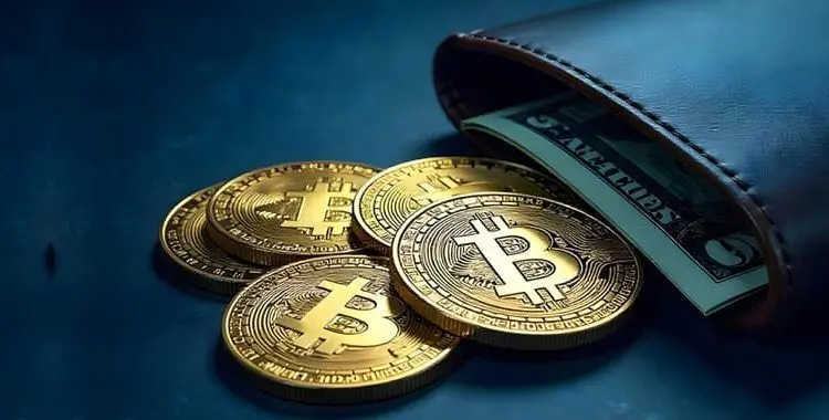 قیمت بیت‌کوین پایدار نیست و باید بفروشید!/توصیه شیف به دارندگان بیت‌کوین