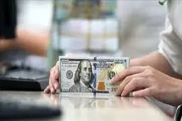 جزئیات خرید ارز با کارت ملی / تاریخ اجرا و مشمولان این طرح اعلام شد