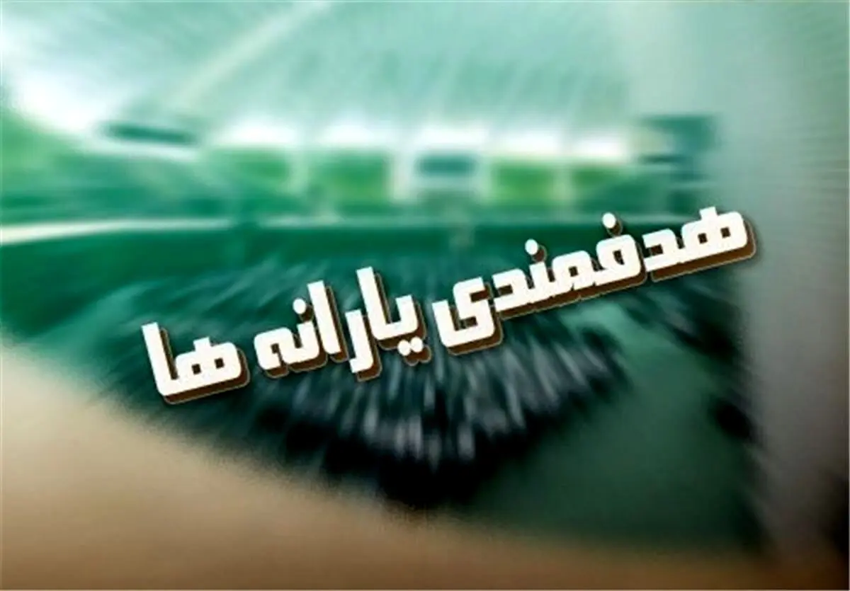بزنید خرید، بعداً قسطش را بدهید / جدیدترین روش استفاده از یارانه نقدی اعلام شد