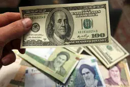 قیمت دلار واقعی نیست/ پیش‌بینی نرخ  دلار در سال جاری