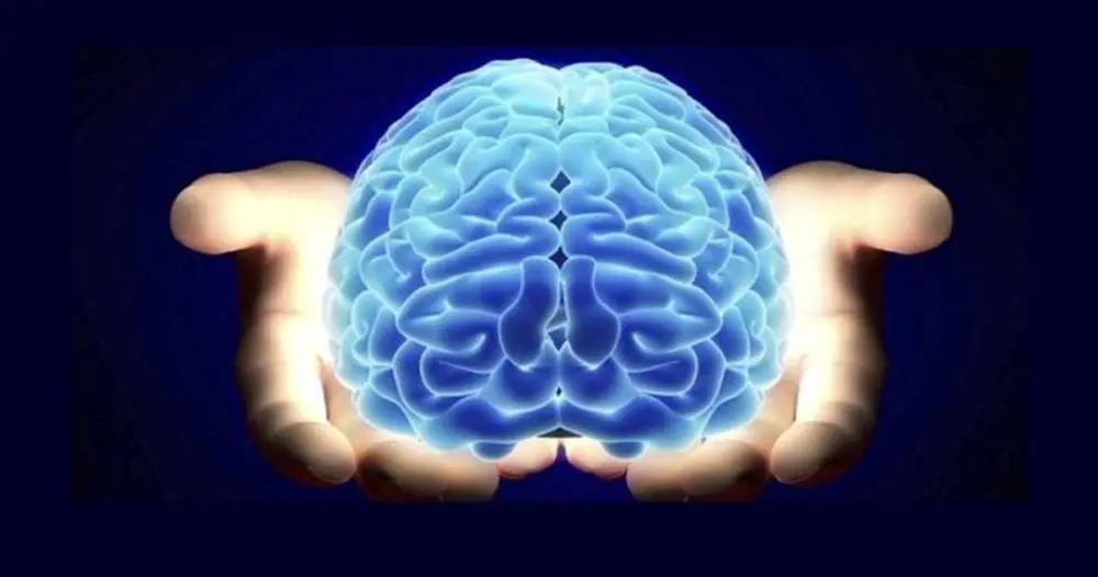 3 کاری که مغز را نابود میکند