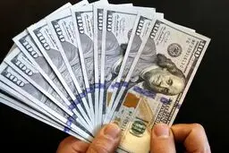 آغاز عرضه اسکناس در بانک‌ها/ خریداران ارز محتاط باشند