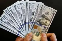 آغاز عرضه اسکناس در بانک‌ها/ خریداران ارز محتاط باشند