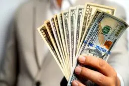 قیمت دلار و انواع ارزها در روز دوشنبه ۱۰ فروردین ۱۴۰۵/ دلار چند قیمت خورد؟ + جدول