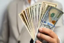 قیمت دلار و انواع ارزها در روز دوشنبه ۱۰ فروردین ۱۴۰۵/ دلار چند قیمت خورد؟ + جدول