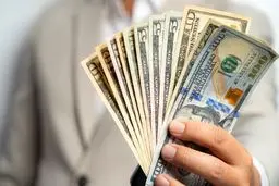 قیمت دلار و انواع ارزها در روز دوشنبه ۱۰ فروردین ۱۴۰۵/ دلار چند قیمت خورد؟ + جدول