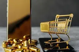 هشدار به خریداران آنلاین طلا و نقره/ این پلتفرم‌ها به زودی توسط بانک مرکزی لغو مجوز می‌شوند