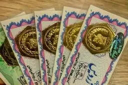 قیمت سکه پارسیان امروز یکشنبه ۱۴ بهمن ۱۴۰۳ 