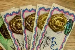 قیمت سکه پارسیان امروز یکشنبه ۱۴ بهمن ۱۴۰۳ 