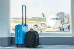 هر نفر چقدر کالای مسافری می تواند وارد کند؟ 