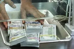 خریداران خرد چرا ارز دولتی نمی‌خرند؟ ارز گران آزاد بهتر از ارز دولتی