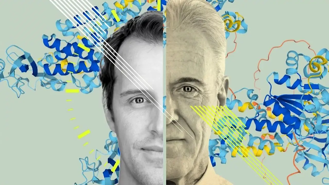 چگونه در ۴۰ و ۶۰ سالگی سرعت پیری را کاهش دهیم؟