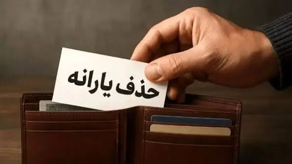اگر یارانه خانواری قطع شود این اقدامات را انجام دهد/ تردد مکرر به عراق منجر به قطع یارانه می شود؟