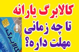 تا چند وقت می توان از اعتبار کالابرگ استفاده کرد؟/ یارانه این افراد بر می گردد 