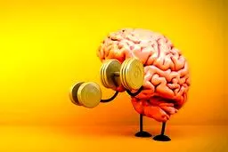 چطور مغزمان را ورزش بدهیم؟
