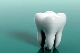 خوراکی‌های محافظ دندان کدام‌ها هستند؟